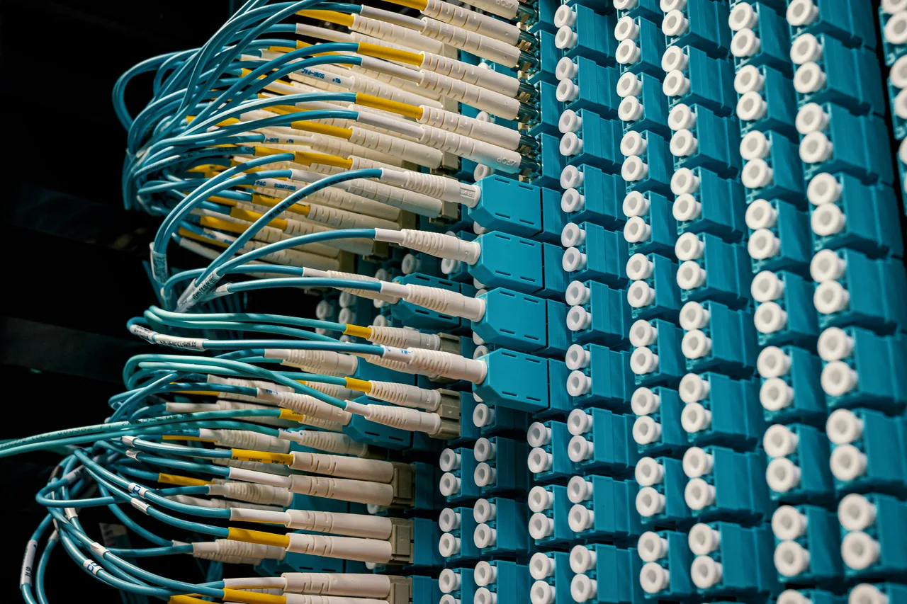 Détail de fibre et de réseau technique